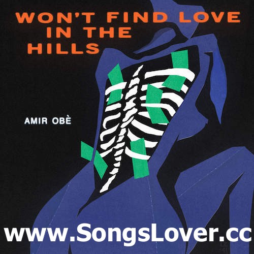 Amir Obe - Won't Find Love In The Hills