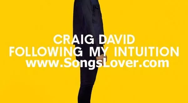 Craig David - Following My Intuition