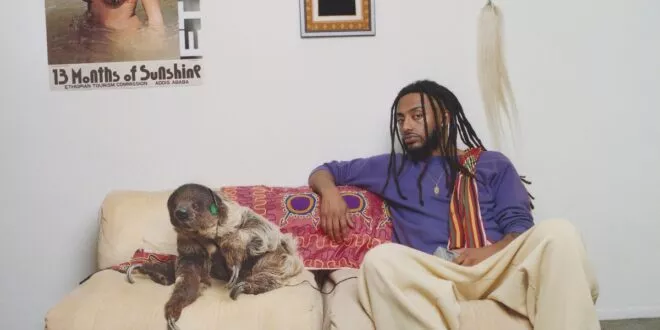 Amine - 13 Months of Sunshine