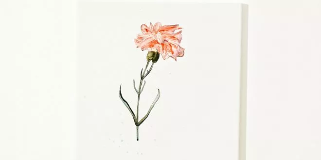 Asher Roth - Flowers On the Weekend