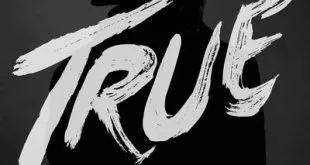 Avicii - True