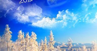 Best Of November 2011