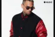 Chris Brown - Essentials