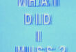 What Did I Miss (Explicit version)