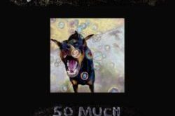 Fall Out Boy – So Much (For) Stardust [Edit]