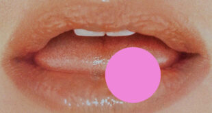 Kesha - .
