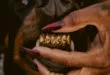 Leon Thomas – MUTT Deluxe – HEEL