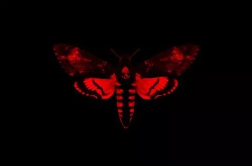 Lil Wayne - I Am Not A Human Being II (Deluxe Edition) (2013)