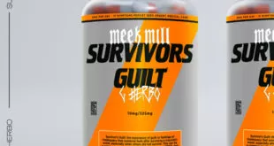 Meek Mill - Survivor’s Guilt