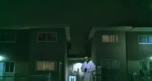 NAV - OMW2 REXDALE (2025)