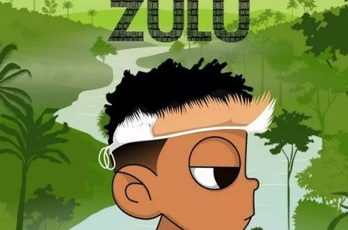 Nasty C - Zulu