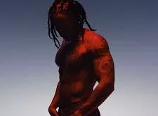 SiR-Heavy