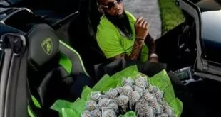 Slim Thug - Around the World