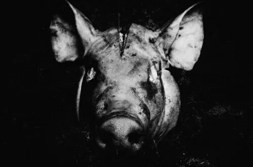 Tyga - Slaughterhouse - House Rules
