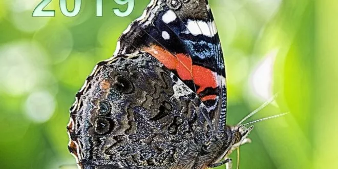 Best of July 2019